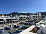 Фото Bahamas, 2