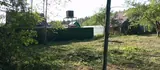 Фото Участок 7.5 сот., СНТ Сосновый бор, 11