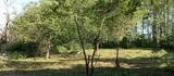 Фото Участок 7.5 сот., СНТ Сосновый бор, 14