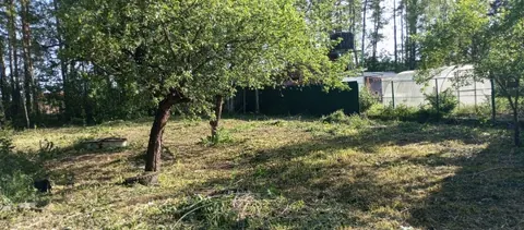 Участок 7.5 сот., СНТ Сосновый бор
